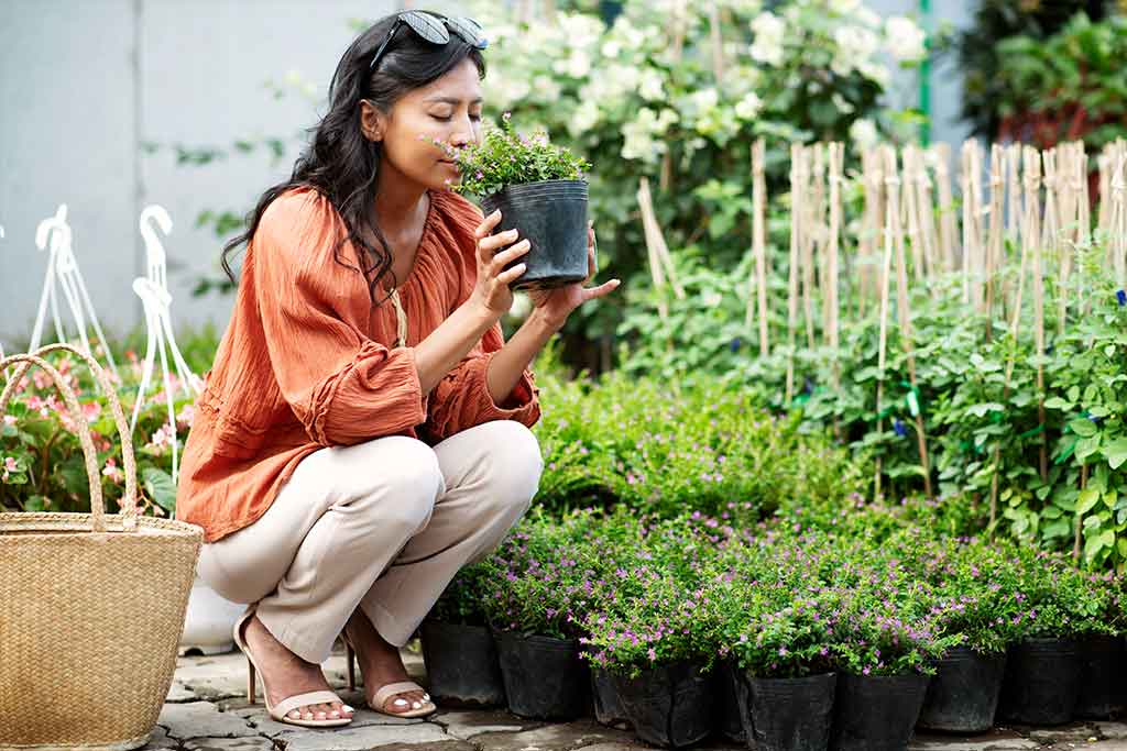Monsoon-Proof Your Garden: Essential DIY Tips for the Indian Rainy Season