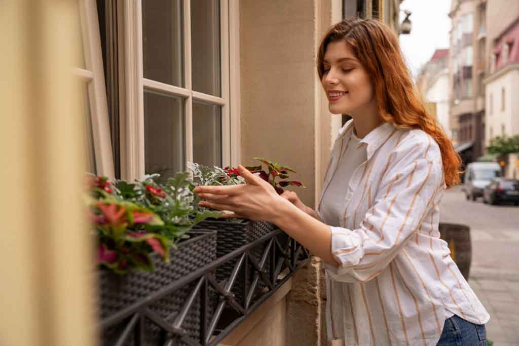 Budget-Friendly Balcony Makeover